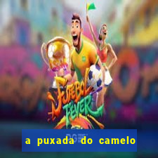 a puxada do camelo no jogo do bicho